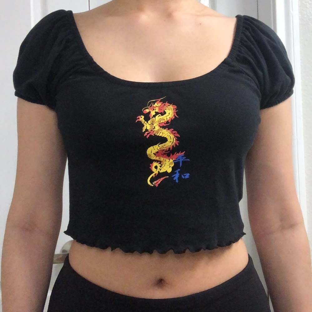 Urban outfitters dragon crop top